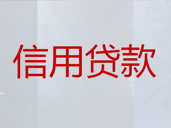 漳州抵押贷款公司-信用贷款